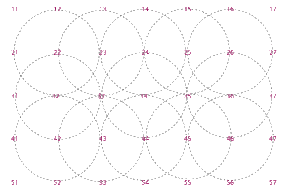 grid of rosettes 39
